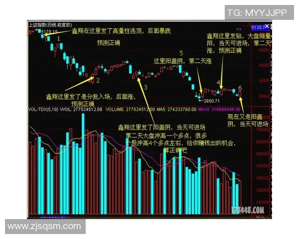 上海篮球队的节奏解析：深度剖析战术与球员配合的奥秘