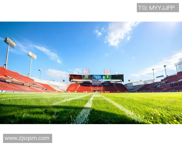 居家足球地毯让你在家也能畅享足球乐趣与运动激情